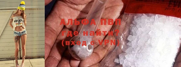 твердый Алзамай
