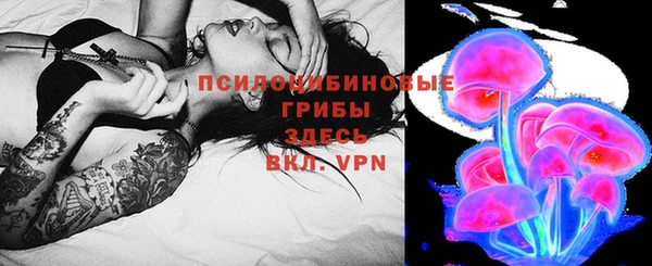 синтетический гашиш Алексин