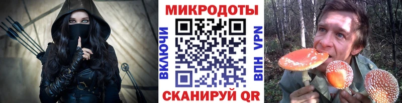 где купить наркоту  Белокуриха  Псилоцибиновые грибы мухоморы 