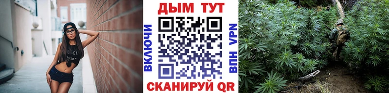 ссылка на мегу онион  Белокуриха  Каннабис планчик  где найти  